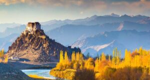 Top 5 Tours And Treks in Ladakh to Discover The Most Unique And Fascinating Places Top 5 Tours And Treks in Ladakh