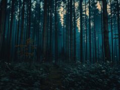 Top Thriller Movies on Peacock Available for Streaming