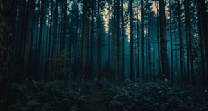 Top Thriller Movies on Peacock Available for Streaming