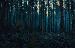 Top Thriller Movies on Peacock Available for Streaming