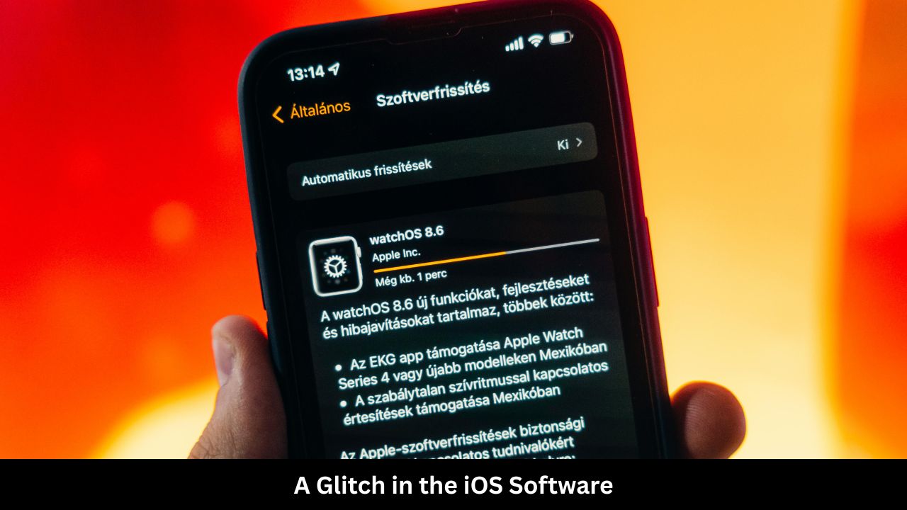 A Glitch in the iOS Software