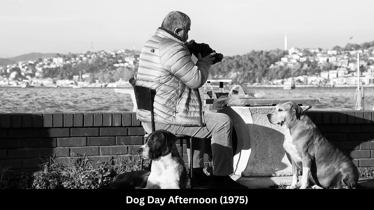 Dog Day Afternoon (1975)