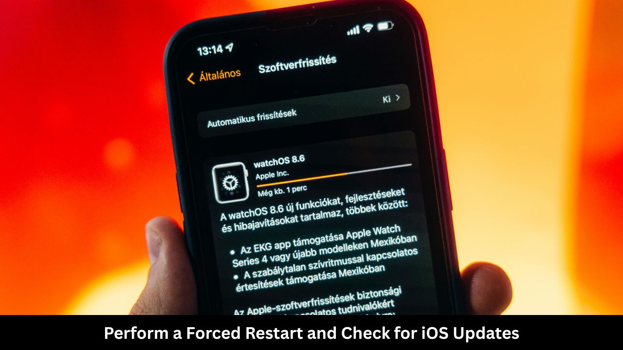 Perform a Forced Restart and Check for iOS Updates (1)