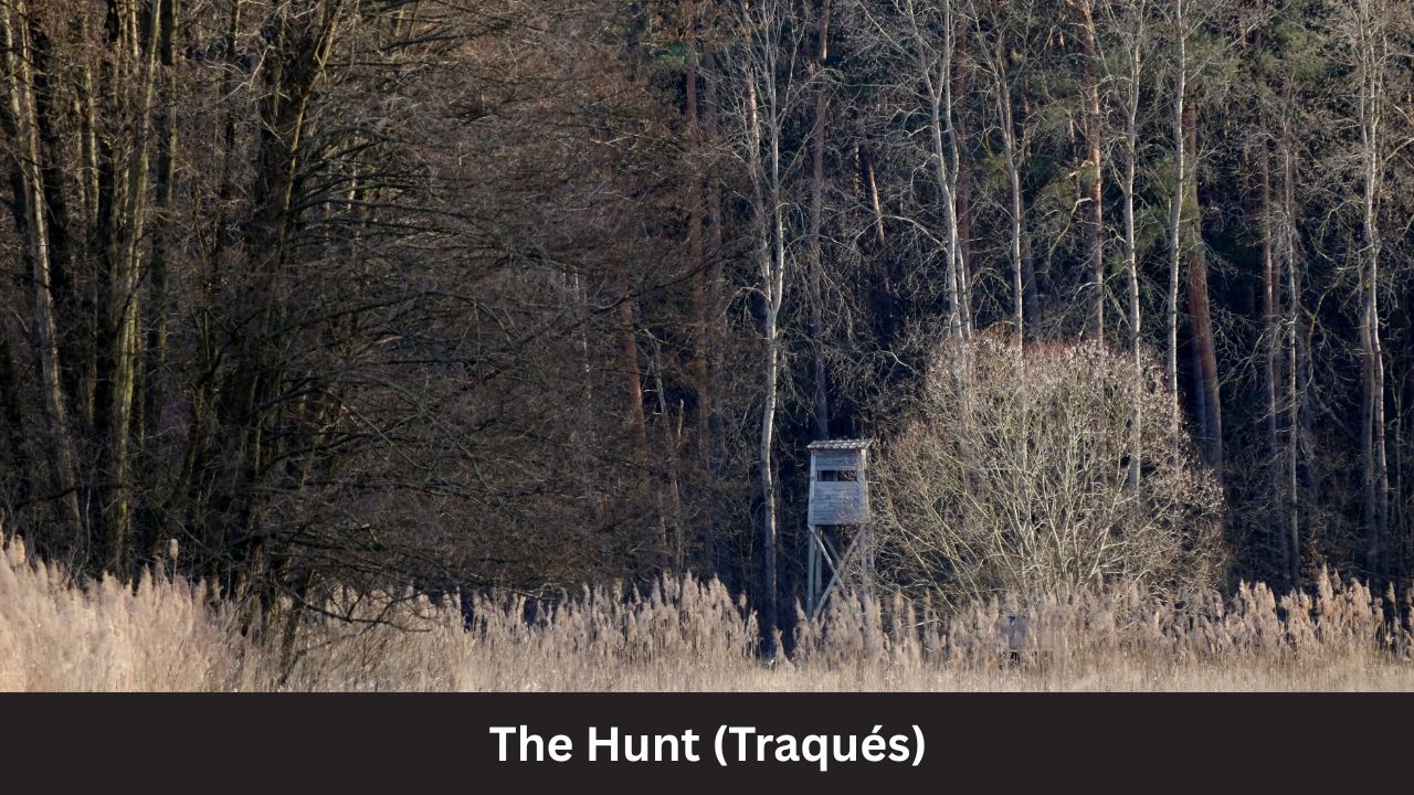 The Hunt (Traqués)